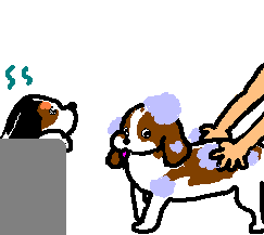 �����C�D���ł��˂�B