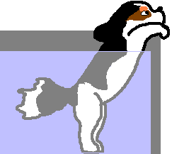 ����̑f�͑̂ɂ������ŁB