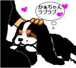 �X�L�X�L�A���������B