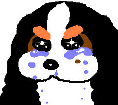 ���������E�E�E���������B�B