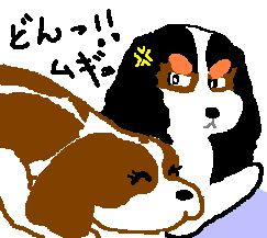 ���`�`�A���f�ȓz�������B