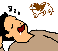 �����炢�̂������[�A�l���𔭌��B