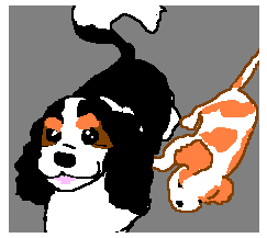 ���߂Ẵc�[�V���b�g�B