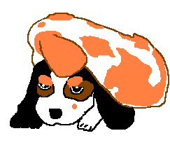 �ɂ������̏�ŐQ�悤�B