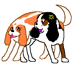 �ɂ������̏�ŋx�e����B