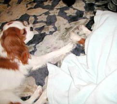 �؋��ʐ^���P