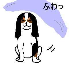 �z���}���R