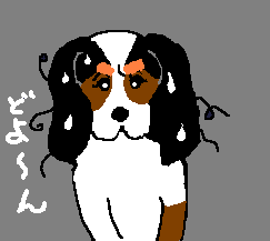 �����`�`��A�������̔��H�H