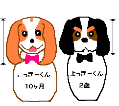 �悫�����A�������o�[�W����