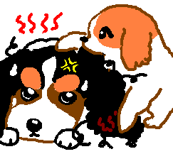 ������[�A���J�c�N�I