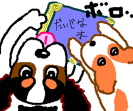 ����܁A���������Ⴝ�����I�I