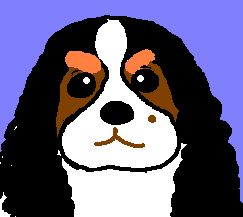 �u�L�~�ɏ΂�������[�B