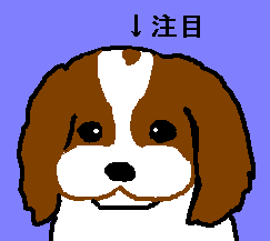 �܂邪�ω����邱�����[�B