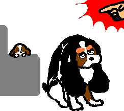 �������Ă܂��`�`�B