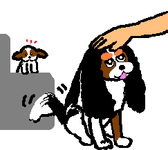 ���V���V�A�����q��ȁB