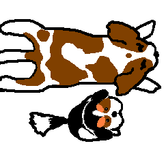 ����ǂ������̂������[�N�B